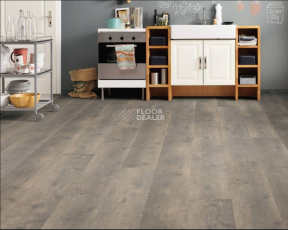 Haro Tritty 100 Gran Via 4V ДУБ БЕРГАМО КАРБОН 538767 фото 2 | FLOORDEALER